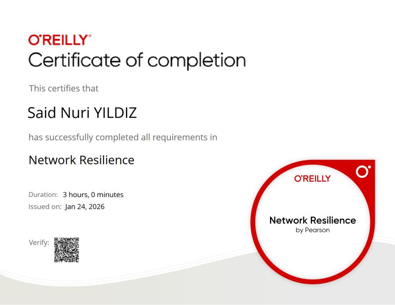 Network Resilience